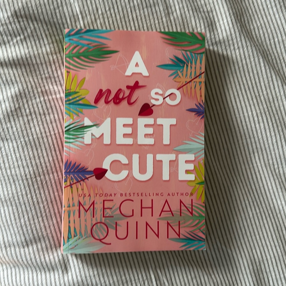 A not so meet cute by Meghan Quinn